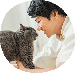 初めて猫を飼う方