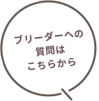 ブリーダーへの質問はこちらから