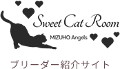 SweetCatRoom[ブリーダー紹介サイト]｜静岡のヒマラヤン専門猫舎