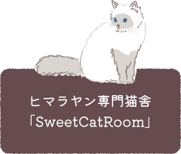 ヒマラヤン専門猫舎「SweetCatRoom」
